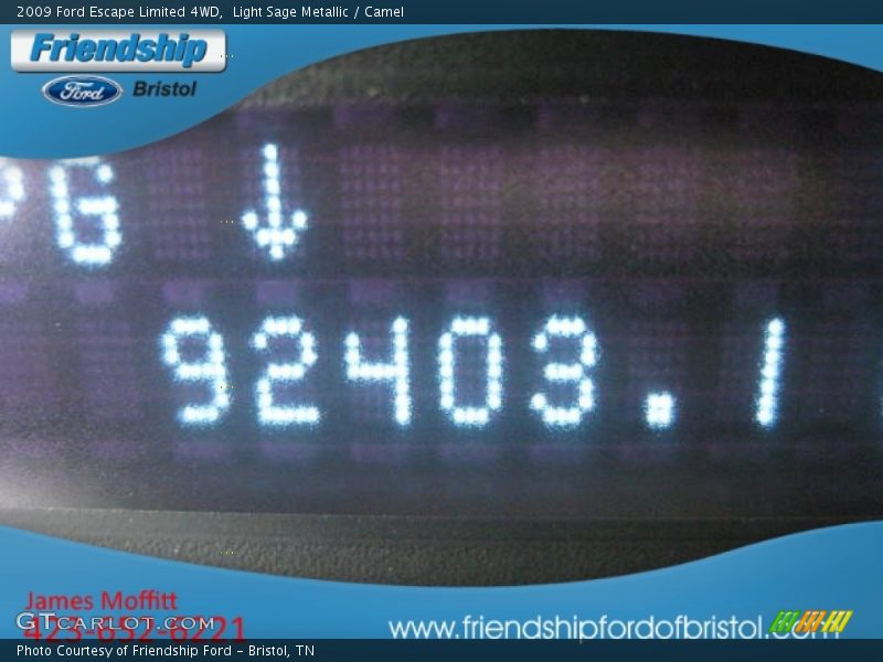 Light Sage Metallic / Camel 2009 Ford Escape Limited 4WD