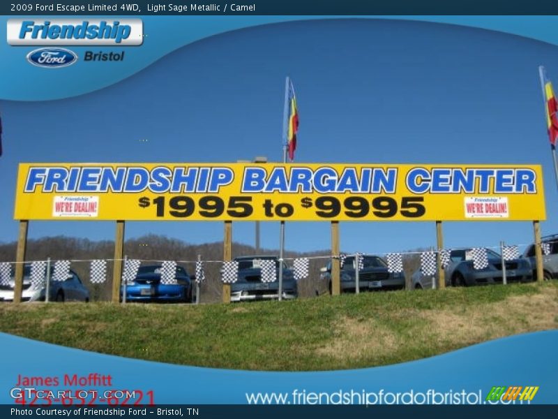 Light Sage Metallic / Camel 2009 Ford Escape Limited 4WD