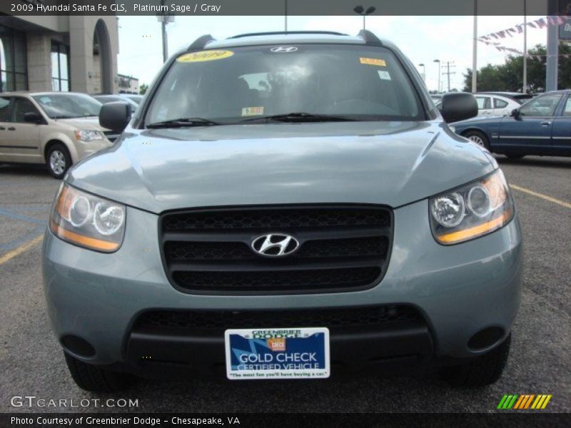 Platinum Sage / Gray 2009 Hyundai Santa Fe GLS