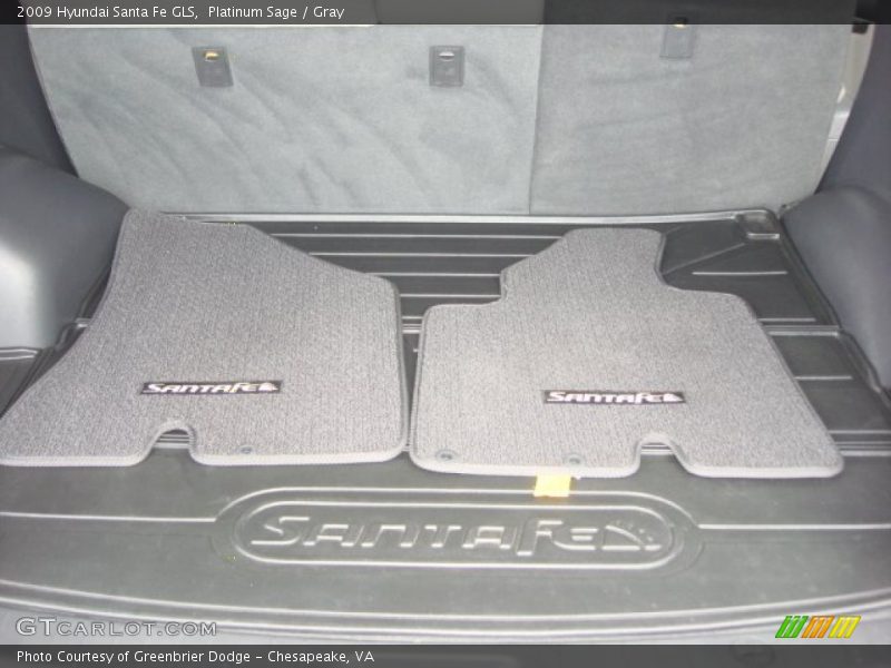Platinum Sage / Gray 2009 Hyundai Santa Fe GLS