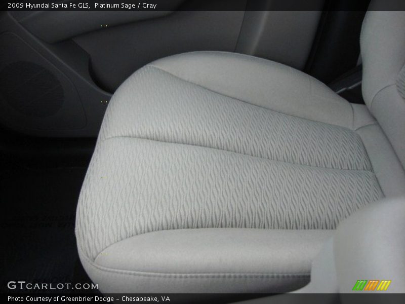 Platinum Sage / Gray 2009 Hyundai Santa Fe GLS