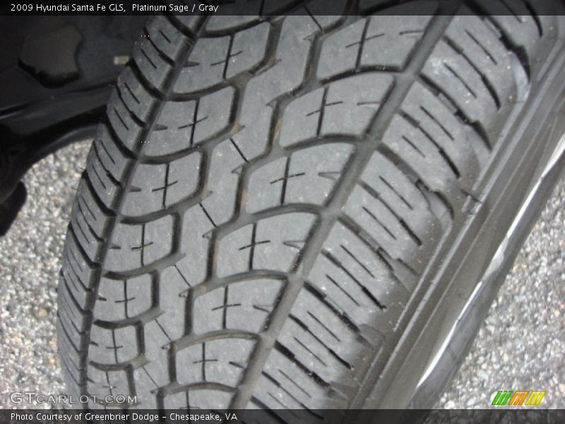 Platinum Sage / Gray 2009 Hyundai Santa Fe GLS