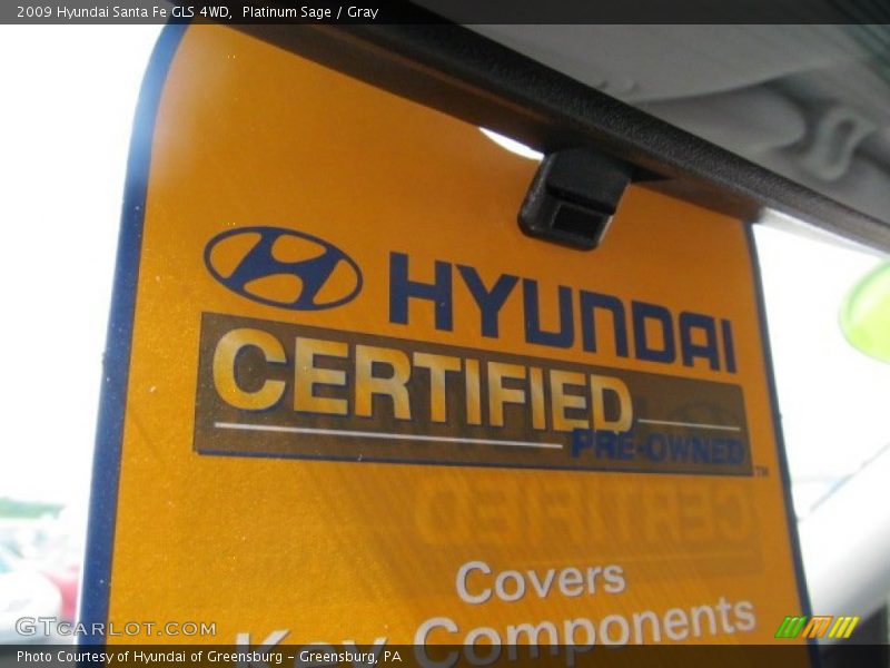 Platinum Sage / Gray 2009 Hyundai Santa Fe GLS 4WD