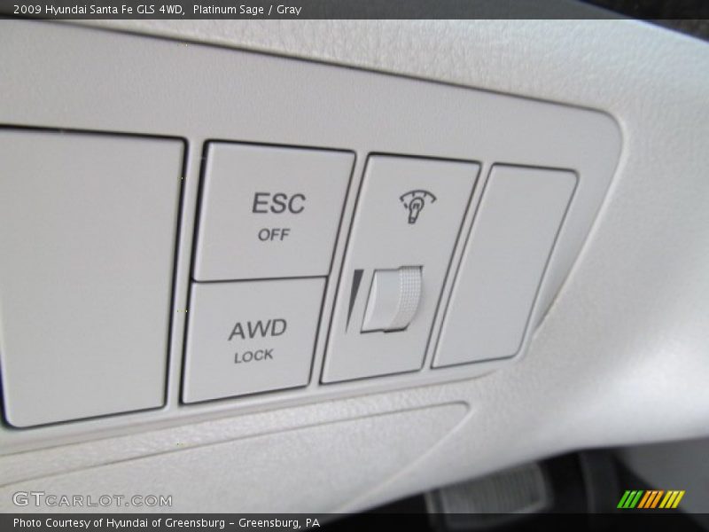 Platinum Sage / Gray 2009 Hyundai Santa Fe GLS 4WD