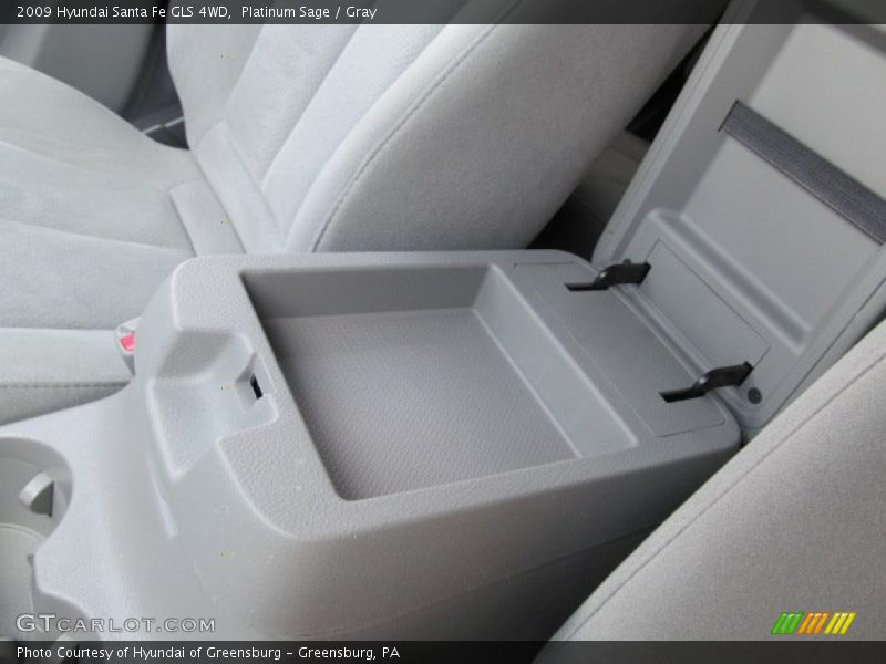 Platinum Sage / Gray 2009 Hyundai Santa Fe GLS 4WD