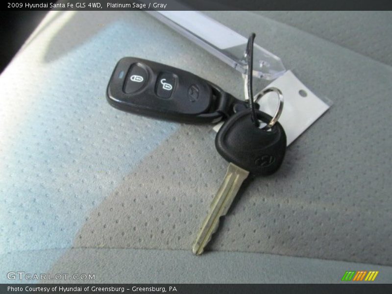 Platinum Sage / Gray 2009 Hyundai Santa Fe GLS 4WD