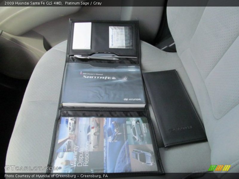 Platinum Sage / Gray 2009 Hyundai Santa Fe GLS 4WD