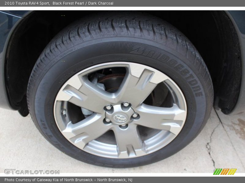 Black Forest Pearl / Dark Charcoal 2010 Toyota RAV4 Sport