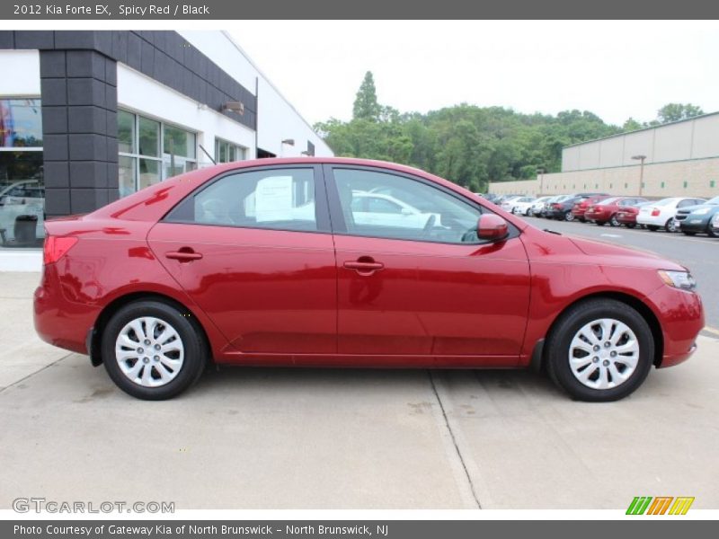 Spicy Red / Black 2012 Kia Forte EX