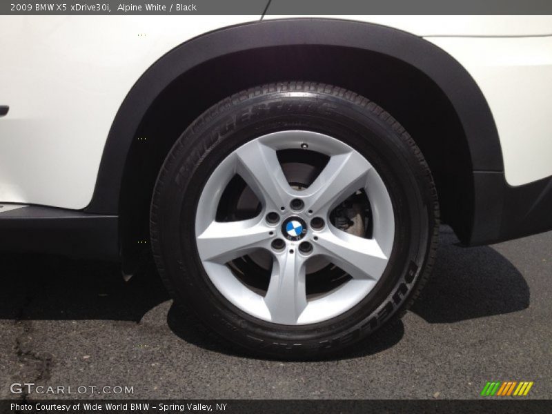 Alpine White / Black 2009 BMW X5 xDrive30i