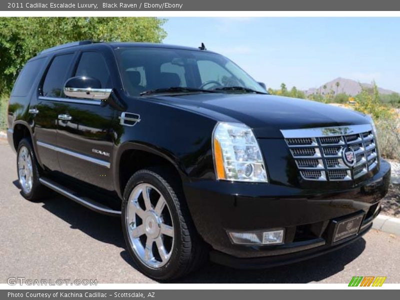 Black Raven / Ebony/Ebony 2011 Cadillac Escalade Luxury