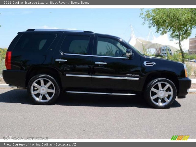 Black Raven / Ebony/Ebony 2011 Cadillac Escalade Luxury