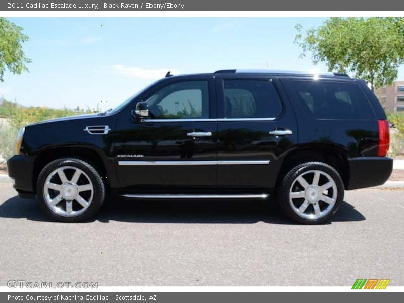 Black Raven / Ebony/Ebony 2011 Cadillac Escalade Luxury