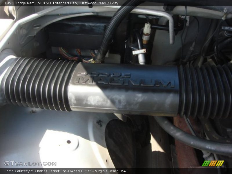 Driftwood Pearl / Gray 1996 Dodge Ram 1500 SLT Extended Cab