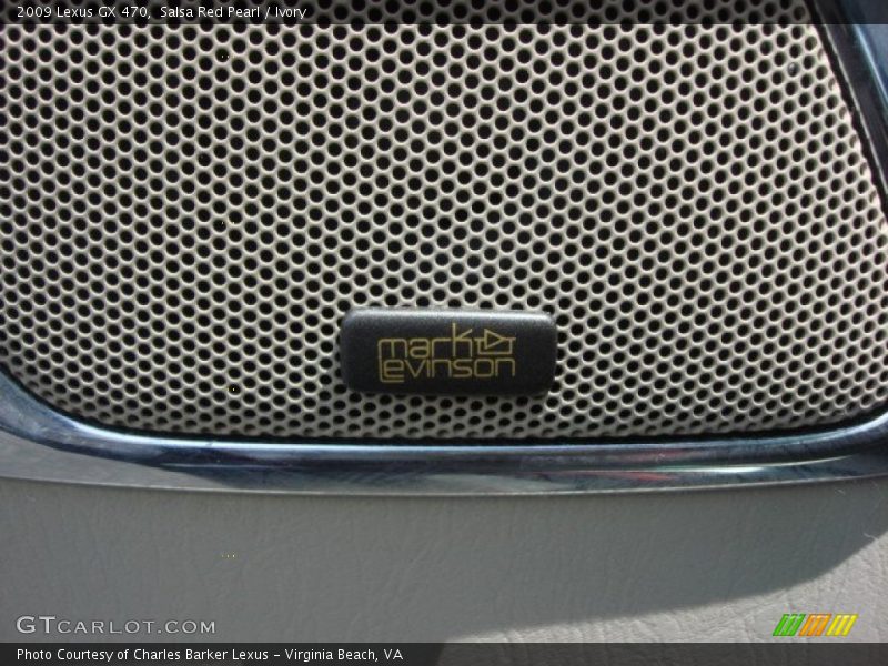 Audio System of 2009 GX 470