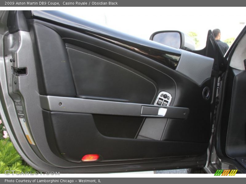Door Panel of 2009 DB9 Coupe