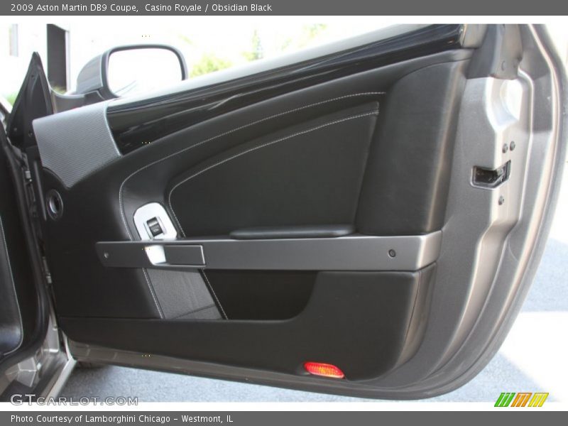 Door Panel of 2009 DB9 Coupe