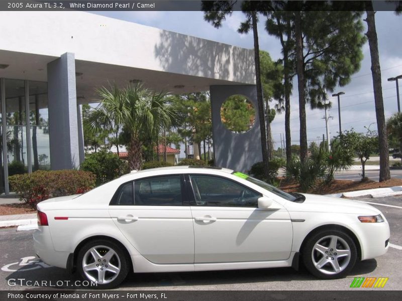 White Diamond Pearl / Camel 2005 Acura TL 3.2