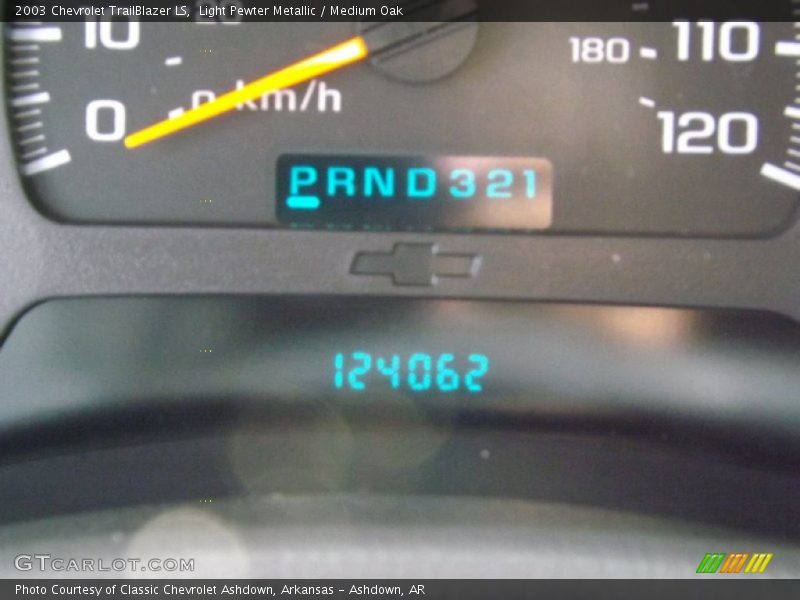Light Pewter Metallic / Medium Oak 2003 Chevrolet TrailBlazer LS