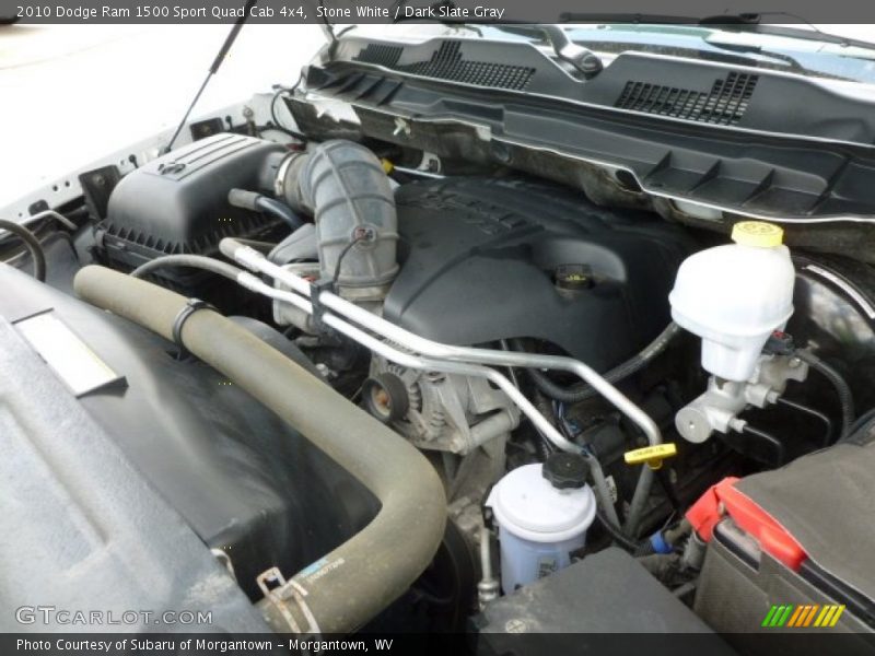 Stone White / Dark Slate Gray 2010 Dodge Ram 1500 Sport Quad Cab 4x4