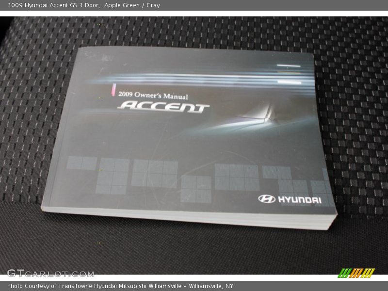 Apple Green / Gray 2009 Hyundai Accent GS 3 Door