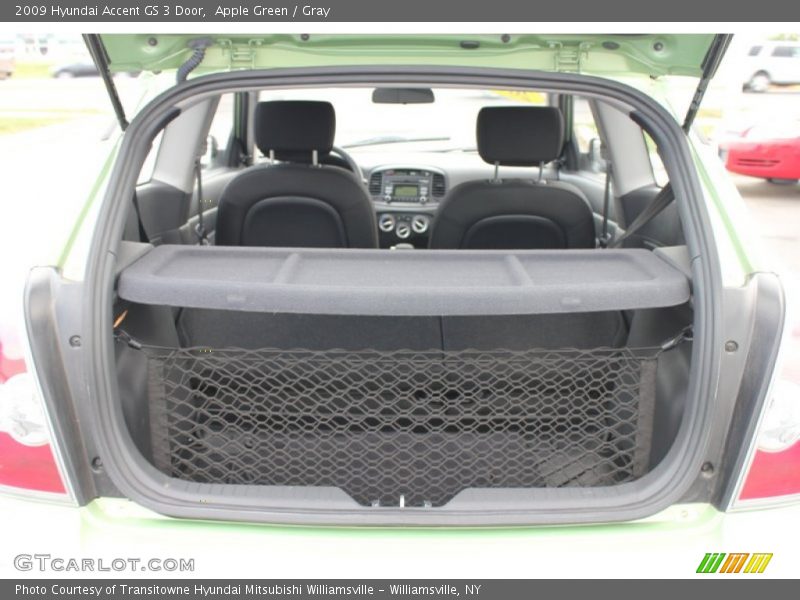 Apple Green / Gray 2009 Hyundai Accent GS 3 Door
