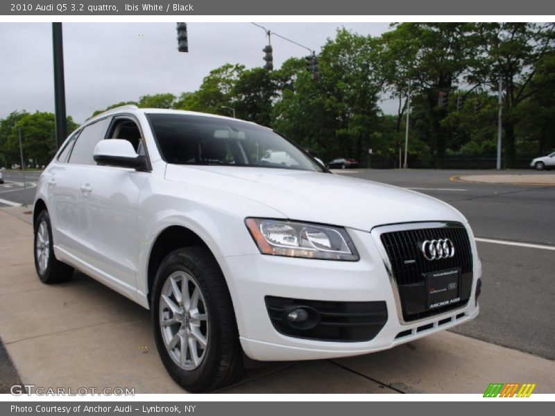 Ibis White / Black 2010 Audi Q5 3.2 quattro