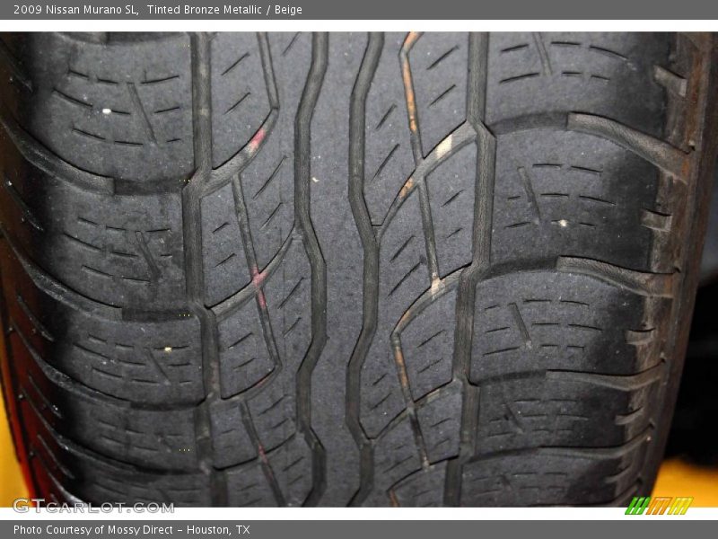 Tinted Bronze Metallic / Beige 2009 Nissan Murano SL