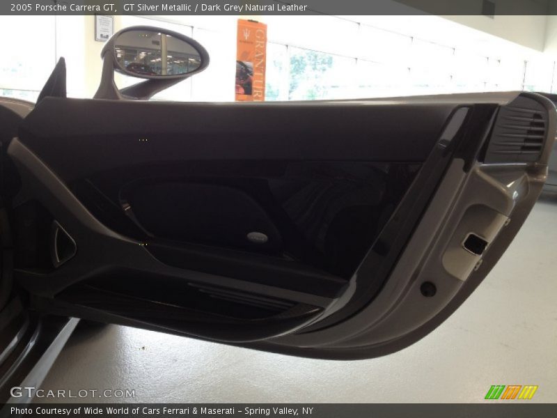Door Panel of 2005 Carrera GT 