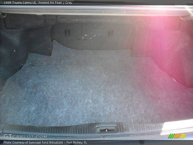 Frosted Iris Pearl / Gray 1998 Toyota Camry LE