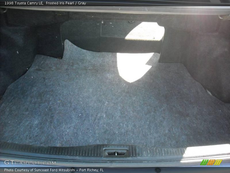 Frosted Iris Pearl / Gray 1998 Toyota Camry LE