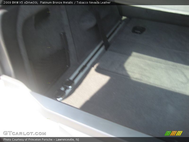 Platinum Bronze Metallic / Tobacco Nevada Leather 2009 BMW X5 xDrive30i