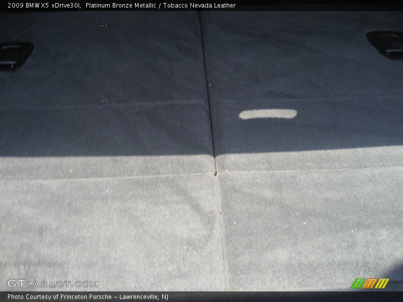 Platinum Bronze Metallic / Tobacco Nevada Leather 2009 BMW X5 xDrive30i