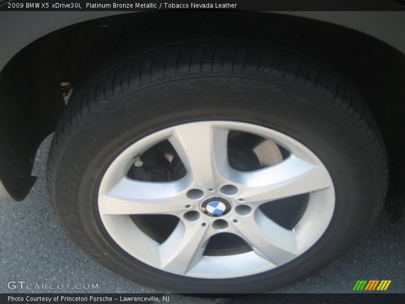 Platinum Bronze Metallic / Tobacco Nevada Leather 2009 BMW X5 xDrive30i