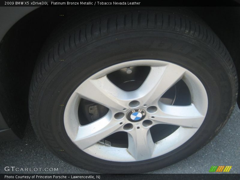 Platinum Bronze Metallic / Tobacco Nevada Leather 2009 BMW X5 xDrive30i