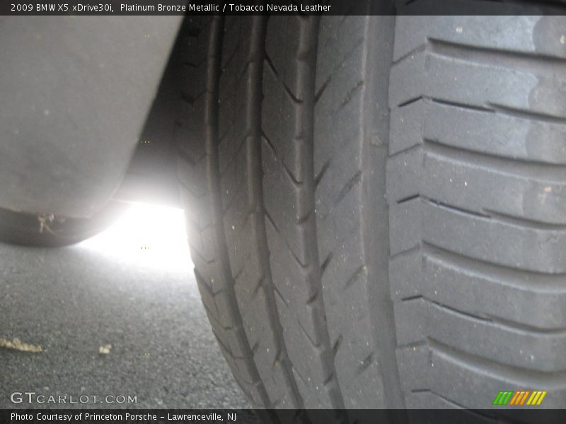 Platinum Bronze Metallic / Tobacco Nevada Leather 2009 BMW X5 xDrive30i