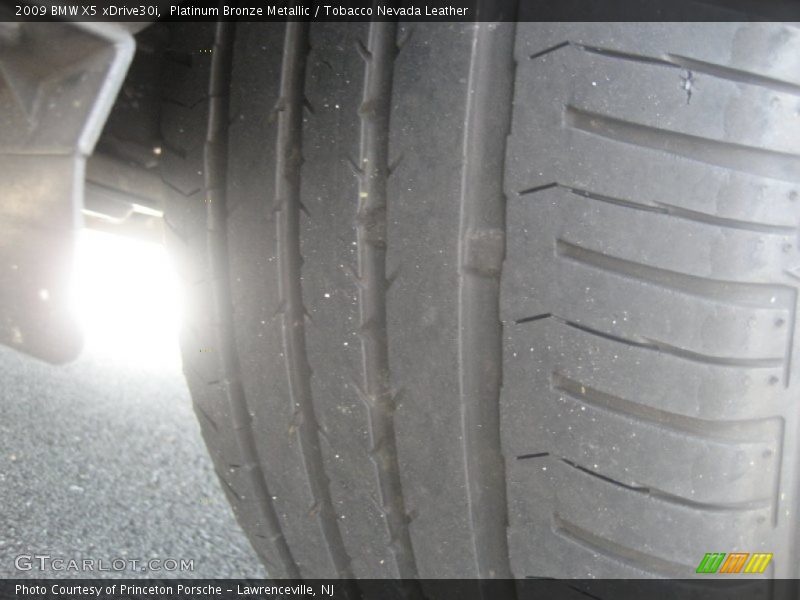 Platinum Bronze Metallic / Tobacco Nevada Leather 2009 BMW X5 xDrive30i