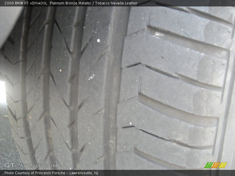 Platinum Bronze Metallic / Tobacco Nevada Leather 2009 BMW X5 xDrive30i