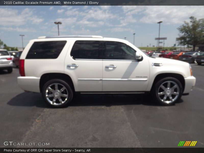 White Diamond / Ebony 2010 Cadillac Escalade Premium AWD