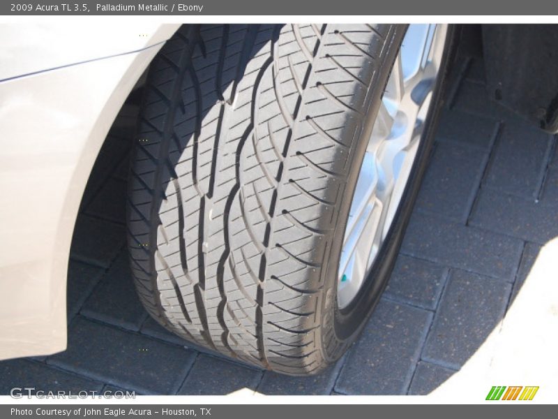 Palladium Metallic / Ebony 2009 Acura TL 3.5