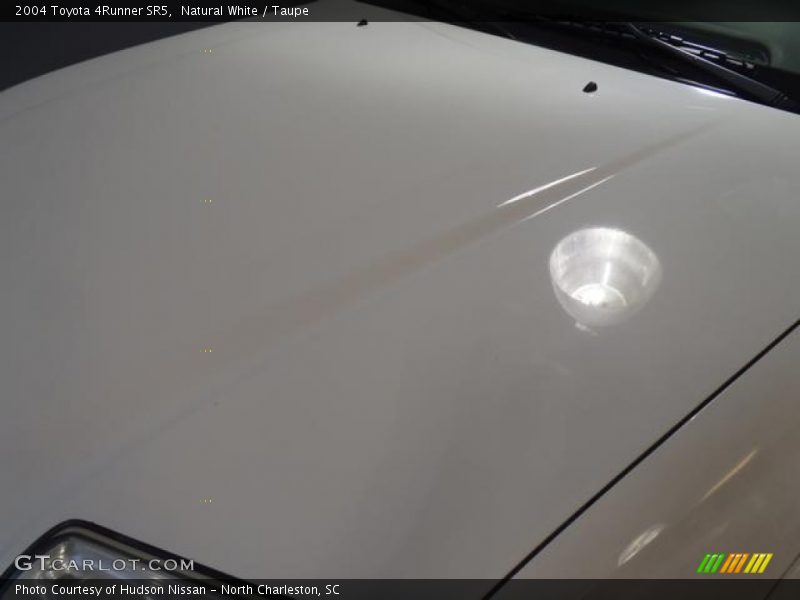 Natural White / Taupe 2004 Toyota 4Runner SR5