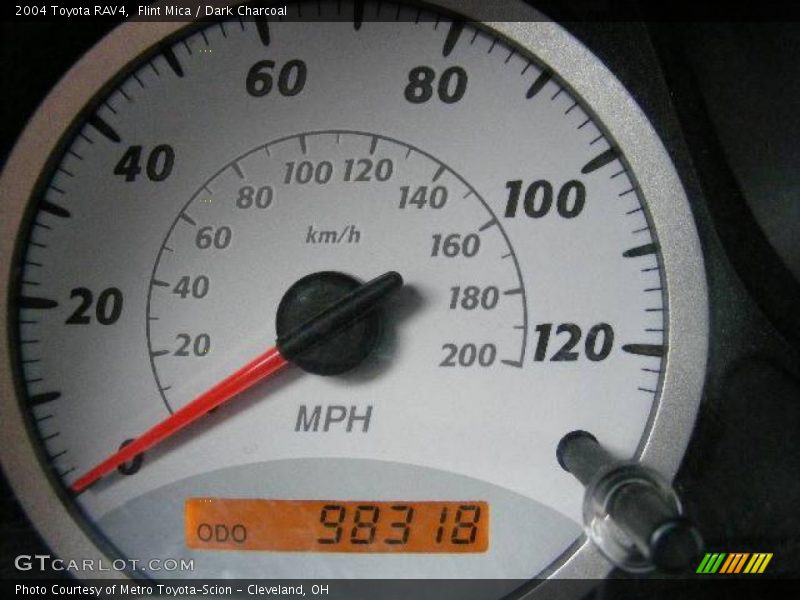 Flint Mica / Dark Charcoal 2004 Toyota RAV4