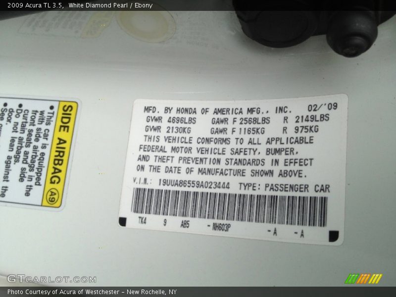 White Diamond Pearl / Ebony 2009 Acura TL 3.5