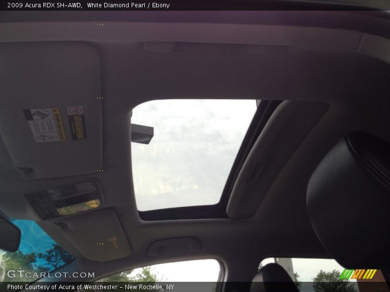 White Diamond Pearl / Ebony 2009 Acura RDX SH-AWD