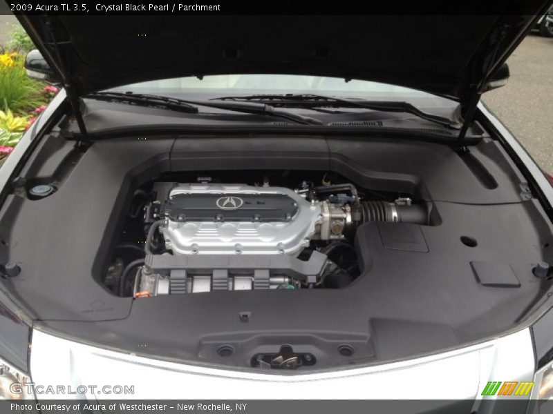 Crystal Black Pearl / Parchment 2009 Acura TL 3.5