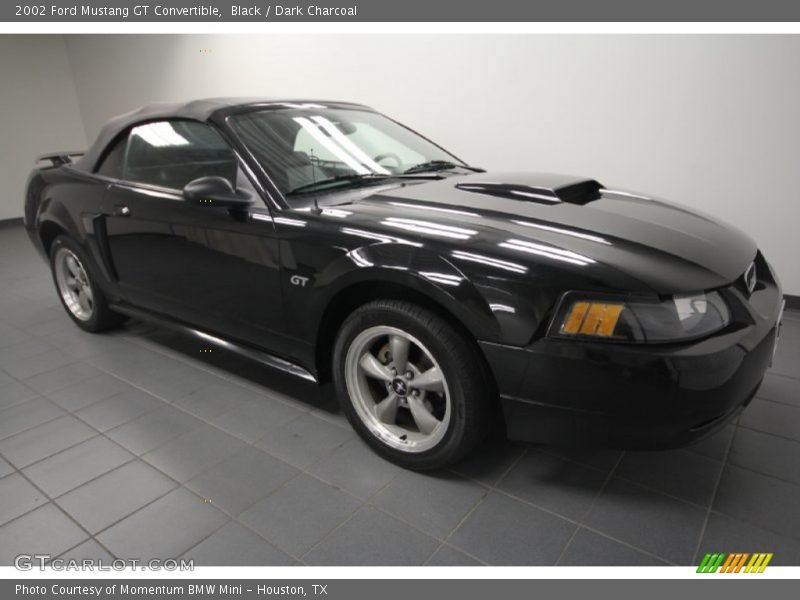 Black / Dark Charcoal 2002 Ford Mustang GT Convertible