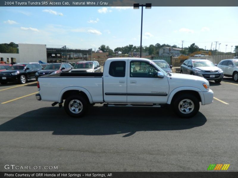 Natural White / Gray 2004 Toyota Tundra SR5 Access Cab