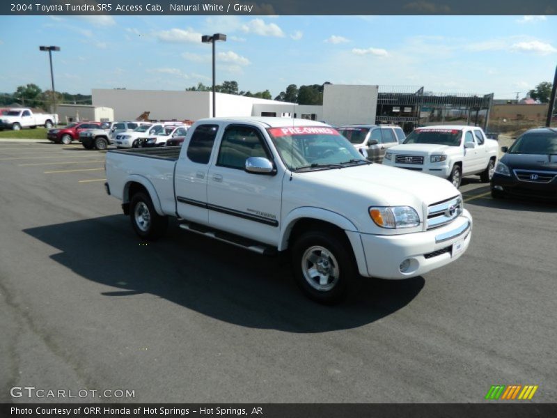 Natural White / Gray 2004 Toyota Tundra SR5 Access Cab