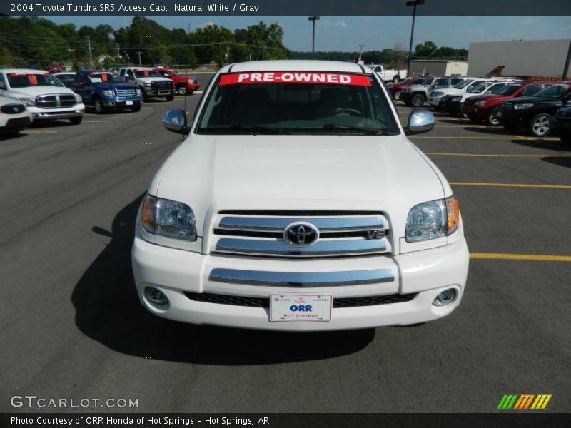 Natural White / Gray 2004 Toyota Tundra SR5 Access Cab