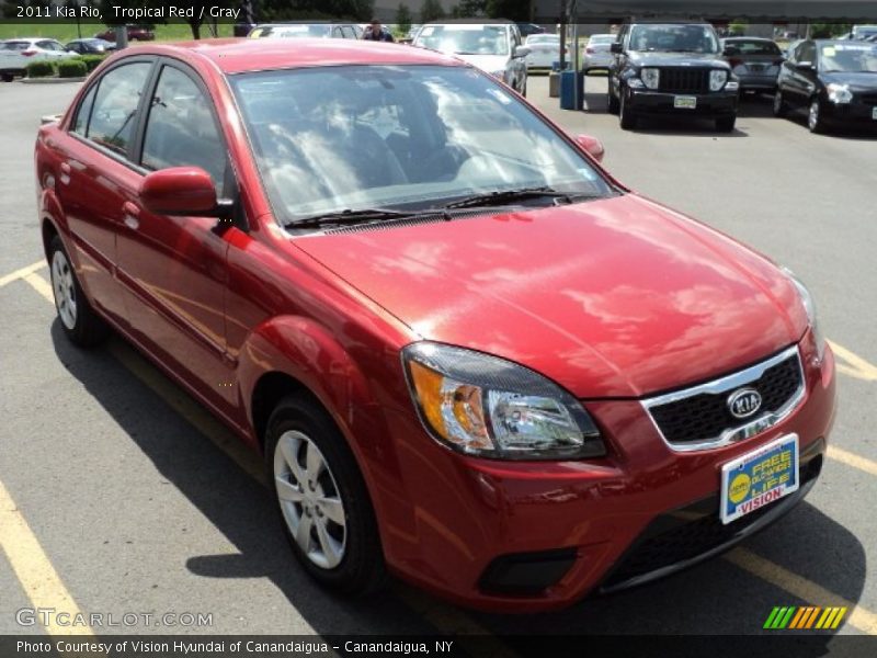 Tropical Red / Gray 2011 Kia Rio